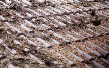 Little Eccleston roof cleaning companies